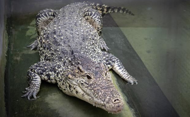 Foto: Tereza Mrhálková, Zoo Praha
